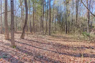 614 Anns Way, Winder, GA 30680 - Photo 39