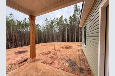 466 Mount Zion Church Road, Tallapoosa, GA 30176 - Photo 15