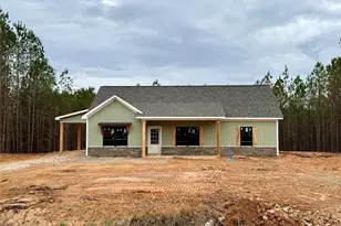 466 Mt Zion Church Rd, Tallapoosa, GA 30176 - Photo 3