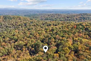 43 Wildcat Run, Big Canoe, GA 30143 - Photo 77