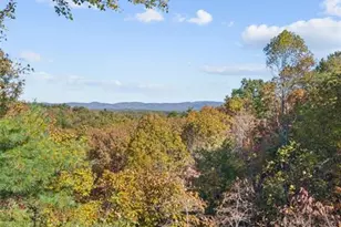 43 Wildcat Run, Big Canoe, GA 30143 - Photo 67