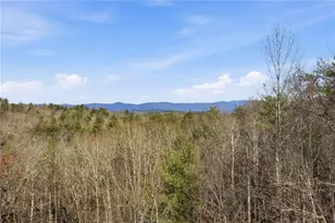 43 Wildcat Run, Big Canoe, GA 30143 - Photo 41