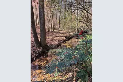 Lot 4 Miller Street, Lithia Springs, GA 30122 - Photo 21