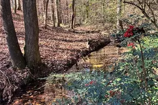 Lot 4 Miller St, Lithia Springs, GA 30122 - Photo 21