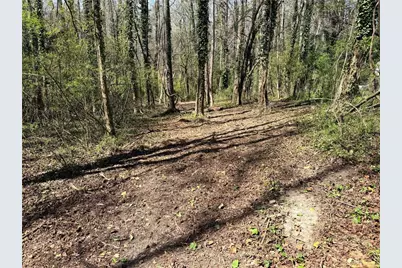 Lot 4 Miller Street, Lithia Springs, GA 30122 - Photo 7