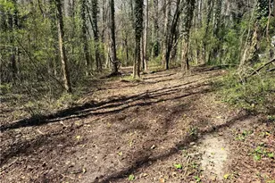 Lot 4 Miller St, Lithia Springs, GA 30122 - Photo 7