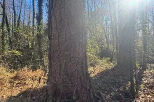 Lot 4 Miller St, Lithia Springs, GA 30122 - Photo 37