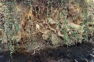 Lot 4 Miller St, Lithia Springs, GA 30122 - Photo 15