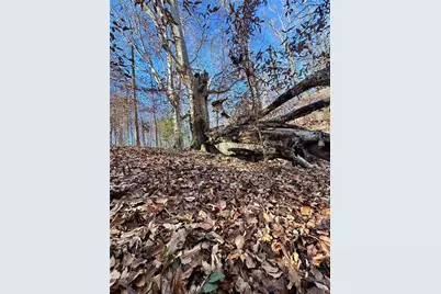 Lot 4 Miller Street, Lithia Springs, GA 30122 - Photo 29