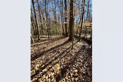 Lot 4 Miller Street, Lithia Springs, GA 30122 - Photo 29