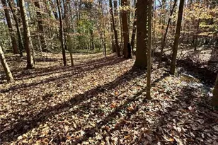 Lot 4 Miller St, Lithia Springs, GA 30122 - Photo 29