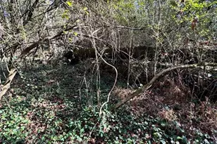 Lot 4 Miller St, Lithia Springs, GA 30122 - Photo 17