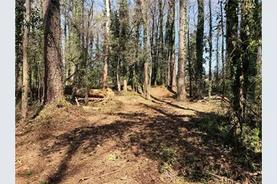 Lot 4 Miller Street, Lithia Springs, GA 30122 - Photo 9