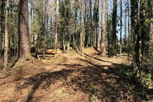 Lot 4 Miller St, Lithia Springs, GA 30122 - Photo 9