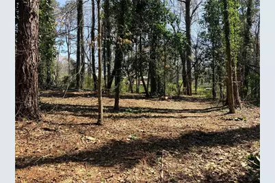 Lot 4 Miller Street, Lithia Springs, GA 30122 - Photo 11