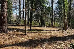 Lot 4 Miller St, Lithia Springs, GA 30122 - Photo 11