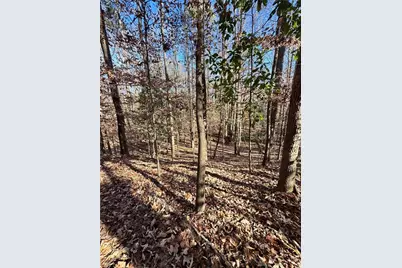 Lot 4 Miller Street, Lithia Springs, GA 30122 - Photo 35