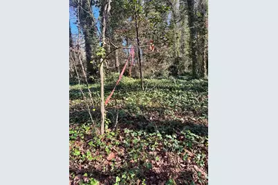 Lot 4 Miller Street, Lithia Springs, GA 30122 - Photo 31
