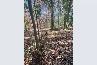 Lot 4 Miller Street, Lithia Springs, GA 30122 - Photo 33