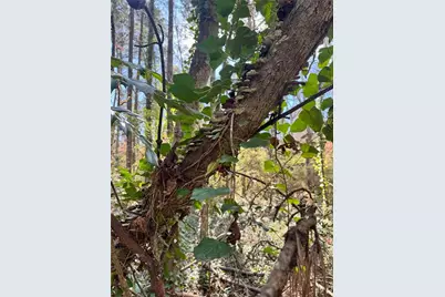 Lot 4 Miller Street, Lithia Springs, GA 30122 - Photo 41