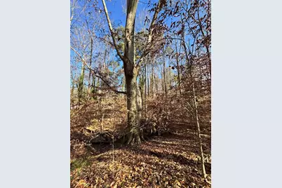 Lot 4 Miller Street, Lithia Springs, GA 30122 - Photo 33