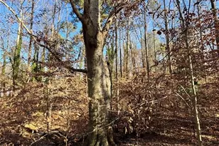 Lot 4 Miller St, Lithia Springs, GA 30122 - Photo 33