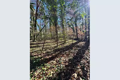 Lot 4 Miller Street, Lithia Springs, GA 30122 - Photo 23