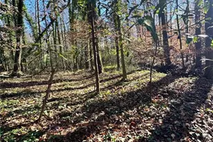 Lot 4 Miller St, Lithia Springs, GA 30122 - Photo 23