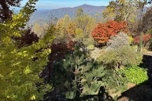 9323 Hwy 52, Chatsworth, GA 30705 - Photo 95