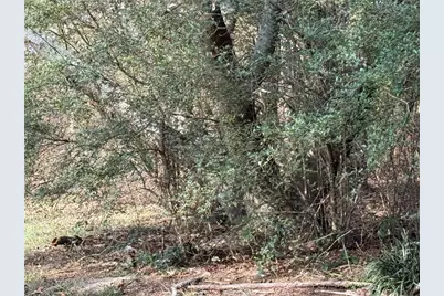 305 Brand Road SW, Loganville, GA 30052 - Photo 5