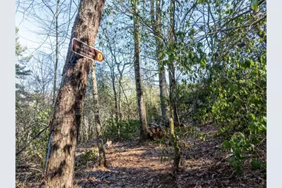 517 Ridge Road, Blue Ridge, GA 30513 - Photo 23