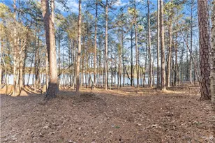 287 Spring Branch Cir, Toccoa, GA 30577 - Photo 53