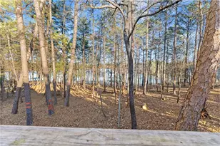 287 Spring Branch Cir, Toccoa, GA 30577 - Photo 47