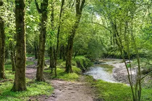 105 Floss Flower Ct, Roswell, GA 30076 - Photo 43