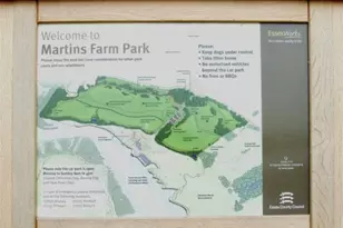 3625 Rosehaven Way, Suwanee, GA 30024 - Photo 39