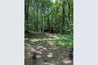 410 N Sharp Mountain Church Lane, Ball Ground, GA 30107 - Photo 33