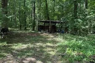 410 N Sharp Mtn Church Ln, Ball Ground, GA 30107 - Photo 33