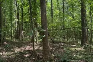 410 N Sharp Mtn Church Ln, Ball Ground, GA 30107 - Photo 31