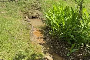 410 N Sharp Mtn Church Ln, Ball Ground, GA 30107 - Photo 37