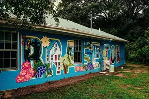 168 Brandle Rose Wy, Hoschton, GA 30548 - Photo 73