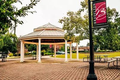 168 Brandle Rose Way, Hoschton, GA 30548 - Photo 93