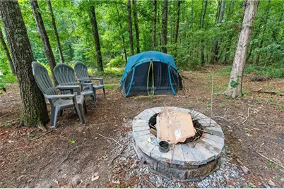 1436 Virginia Way, Monroe, GA 30655 - Photo 67