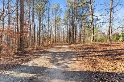 175 Blacks Mill Court, Dawsonville, GA 30534 - Photo 7