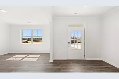 290 Thompson Ridge Lane, Dallas, GA 30132 - Photo 3