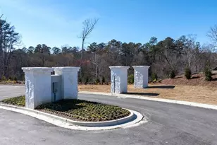 227 Hampton Ter, Dallas, GA 30157 - Photo 47