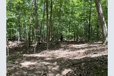 0 Super Deluxe Road, Rockmart, GA 30153 - Photo 19