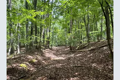 0 Super Deluxe Road, Rockmart, GA 30153 - Photo 23