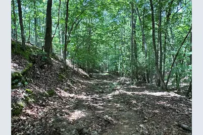 0 Super Deluxe Road, Rockmart, GA 30153 - Photo 17
