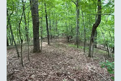 0 Super Deluxe Road, Rockmart, GA 30153 - Photo 15