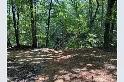 0 Super Deluxe Road, Rockmart, GA 30153 - Photo 57
